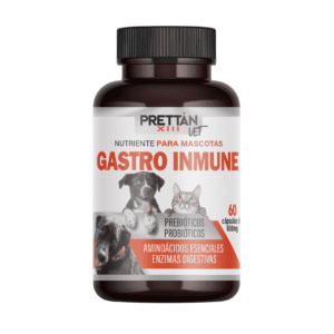 GASTRO INMUNE 60 CÁPSULAS