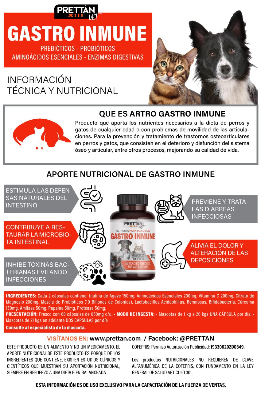GASTRO INMUNE 60 CÁPSULAS - Imagen 2