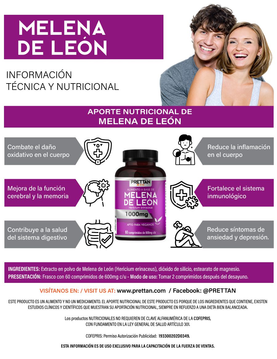 Melena de león - Imagen 2